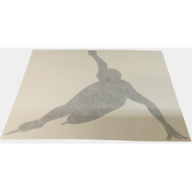 Nálepka Short track